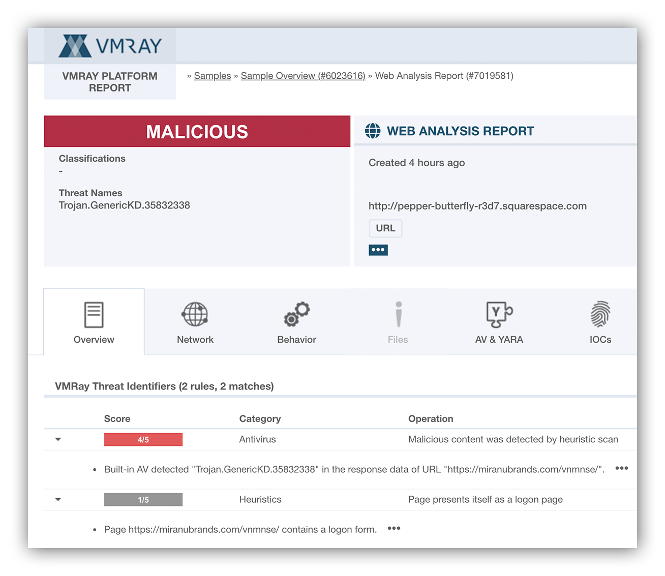 VMRay web analysis report