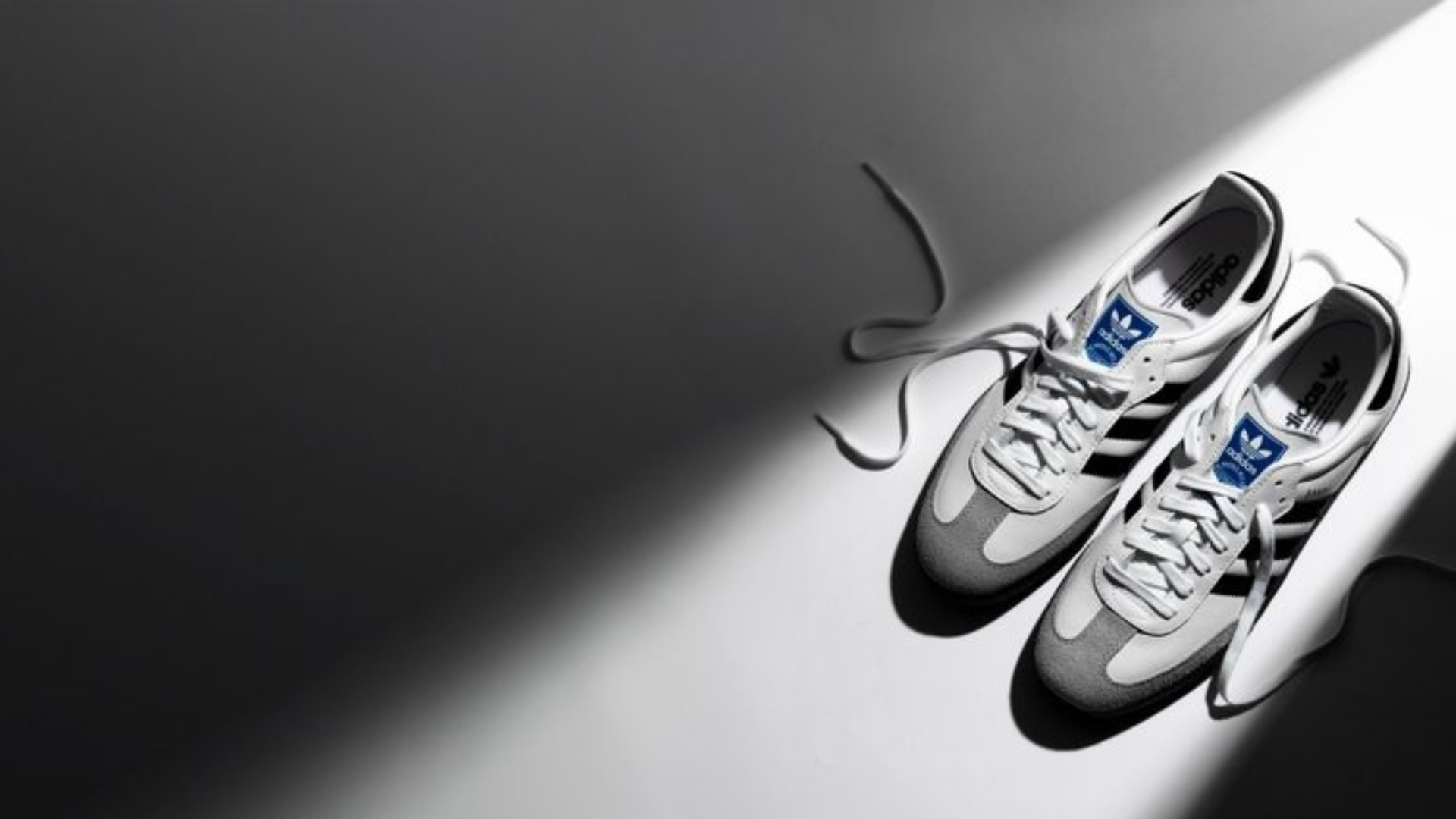 AI Autopsy: Adidas Cyber Attack