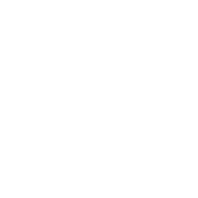 hogan-lovells-white-caro