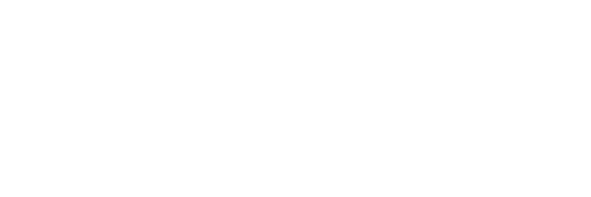 nerdwallet-white-logo