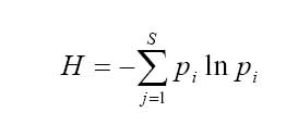 Shannon Index equation