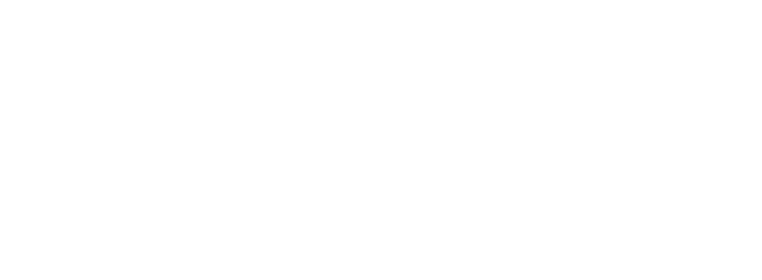 skechers-white-logo