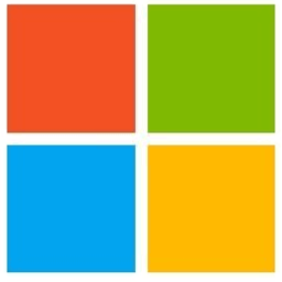 Microsoft icon