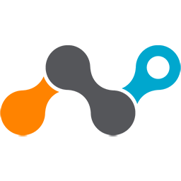 Netskope icon